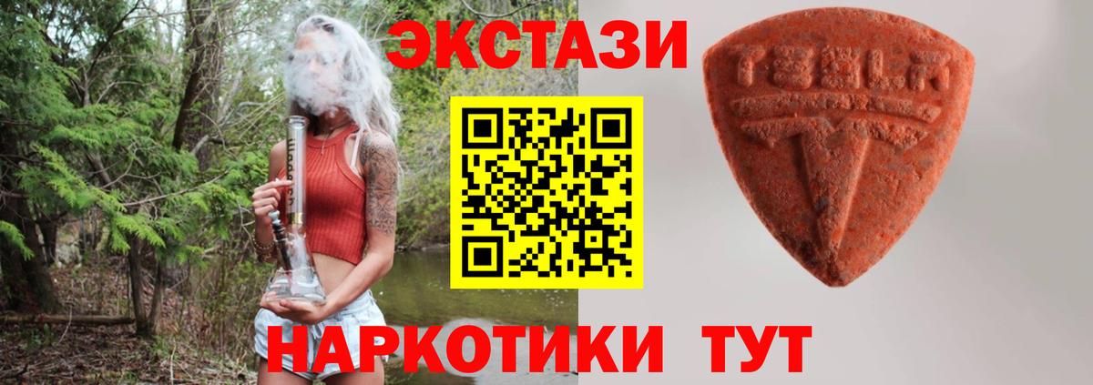 купить   Экстази  Алейск  Вход с VPN  Экстази XTC  Экстази XTC 