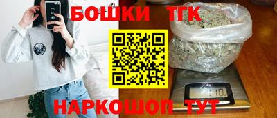 хмурый Абакан