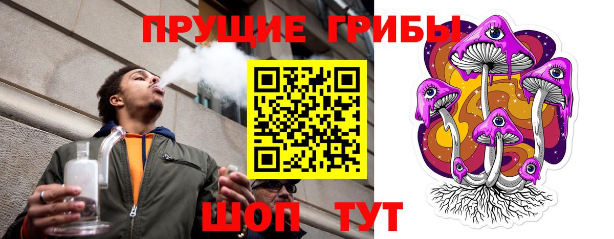 Алейск  купить наркотик  Вход с VPN  Галлюциногенные грибы Psilocybe  Галлюциногенные грибы ЛСД 